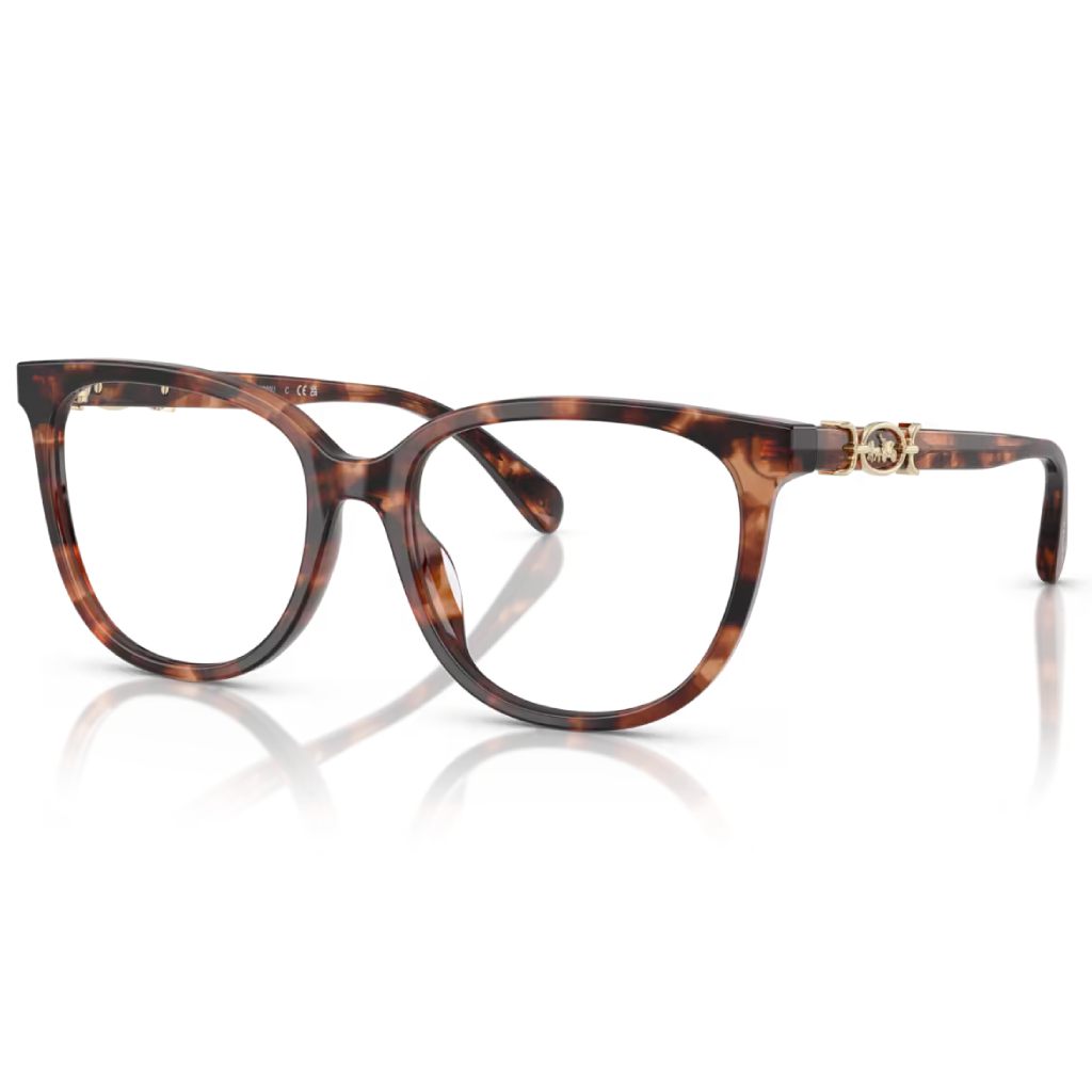 Coach - Classic Tortoise - Figura 2
