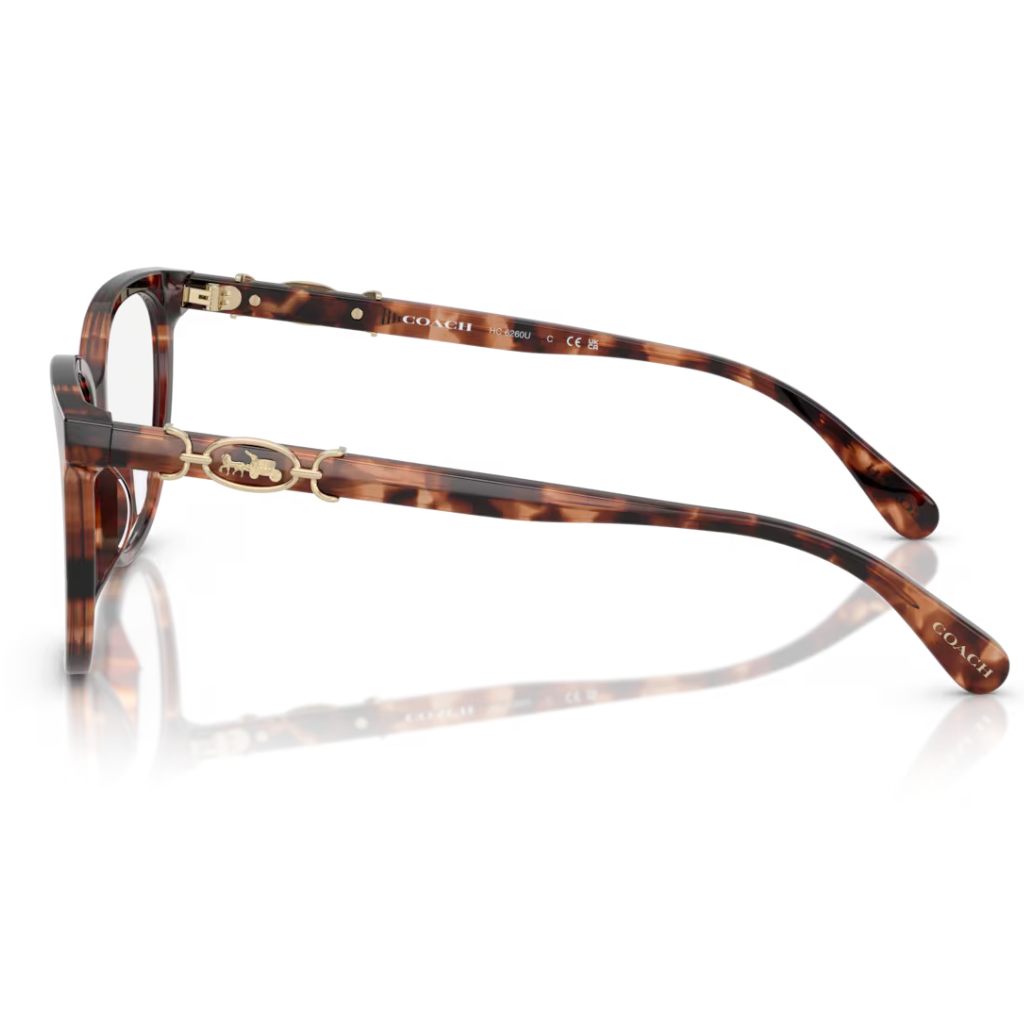 Coach - Classic Tortoise - Figura 3