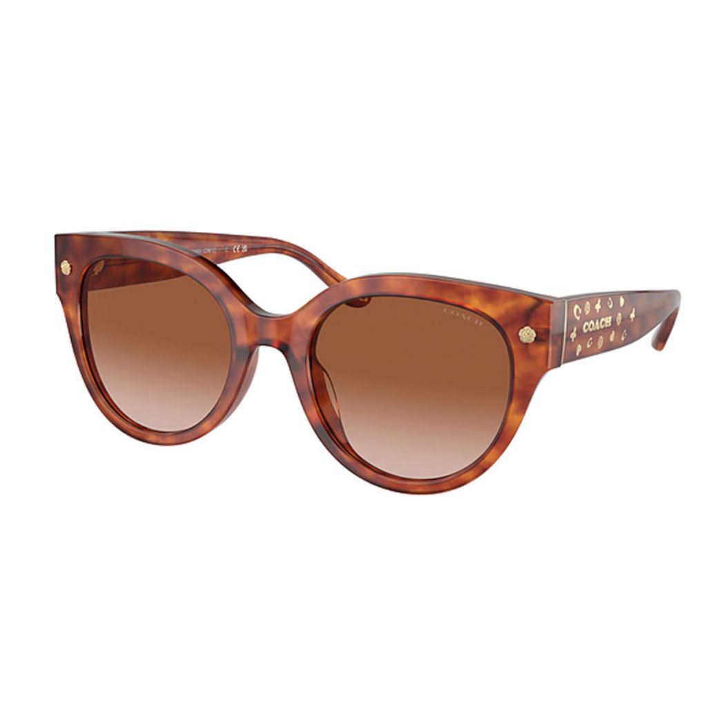 Coach - Sun Tortoise - Figura 2