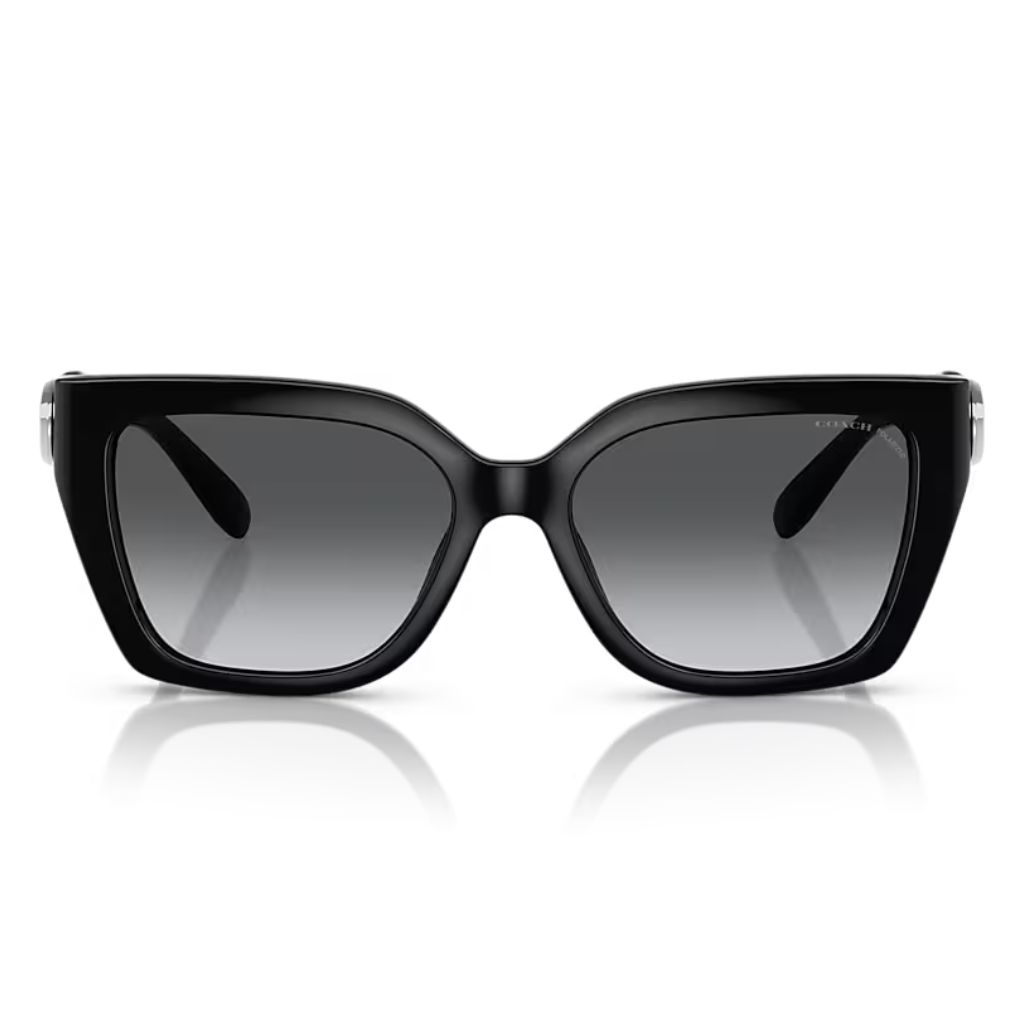 Coach - Sun Noir Prime - Image 2