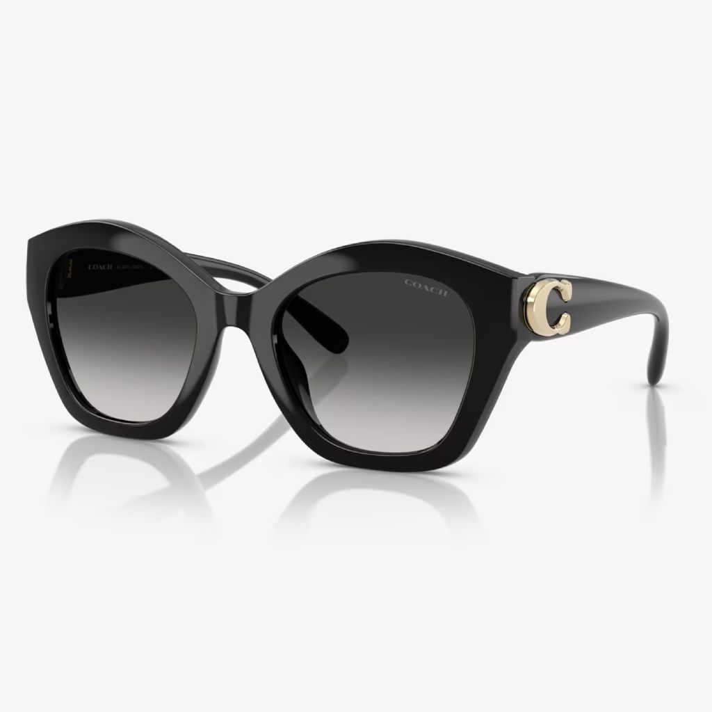 Coach – Dark Radiance - Image 3
