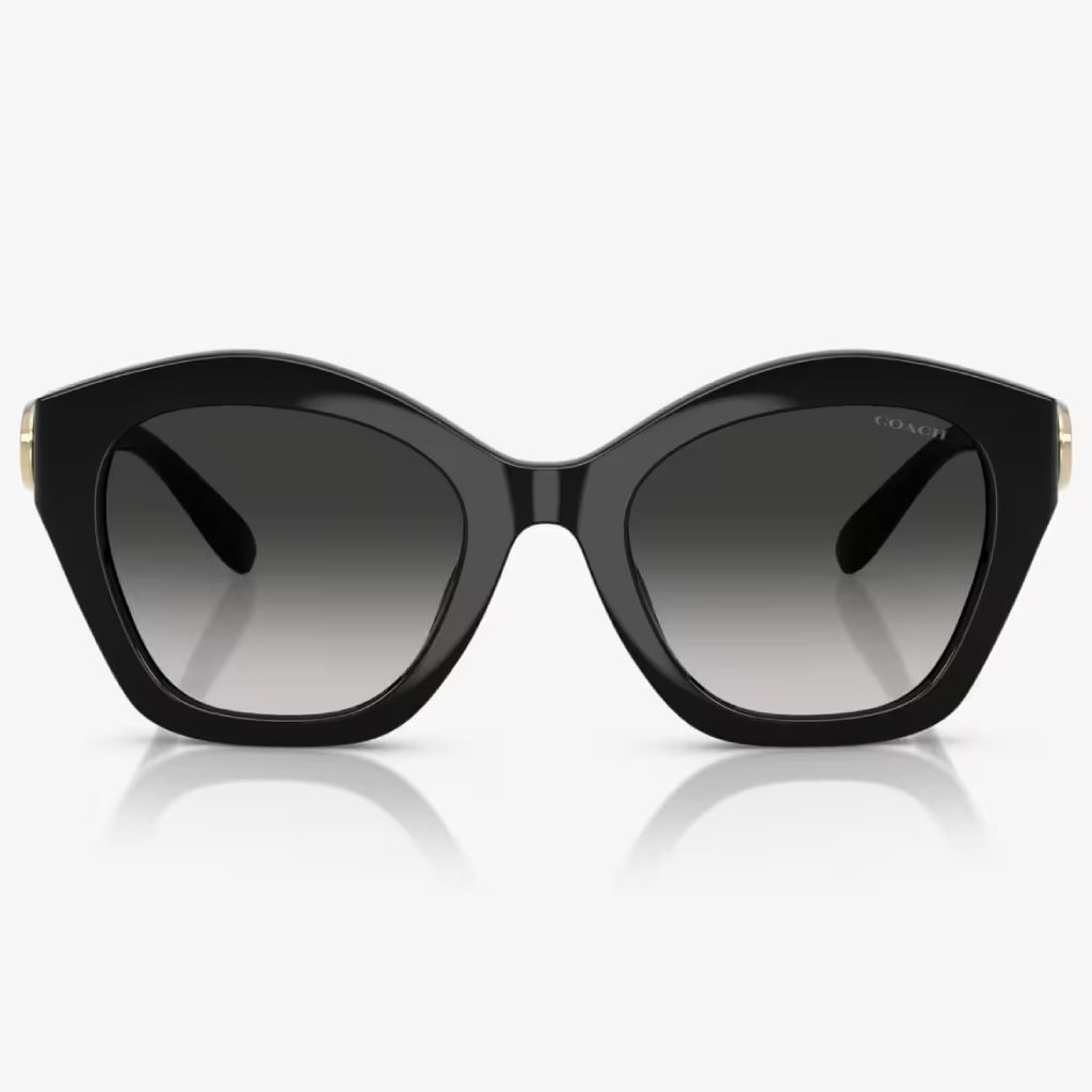 Coach – Dark Radiance - Image 2
